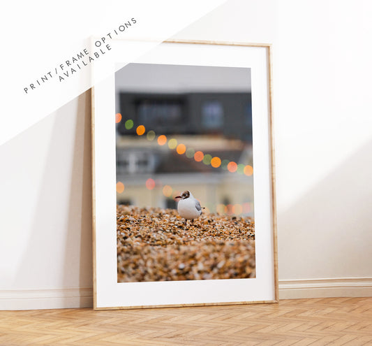 Seagull Print - Photography Print - Portsmouth and Southsea Prints - Wall Art -  Frame and Canvas Options - Portrait