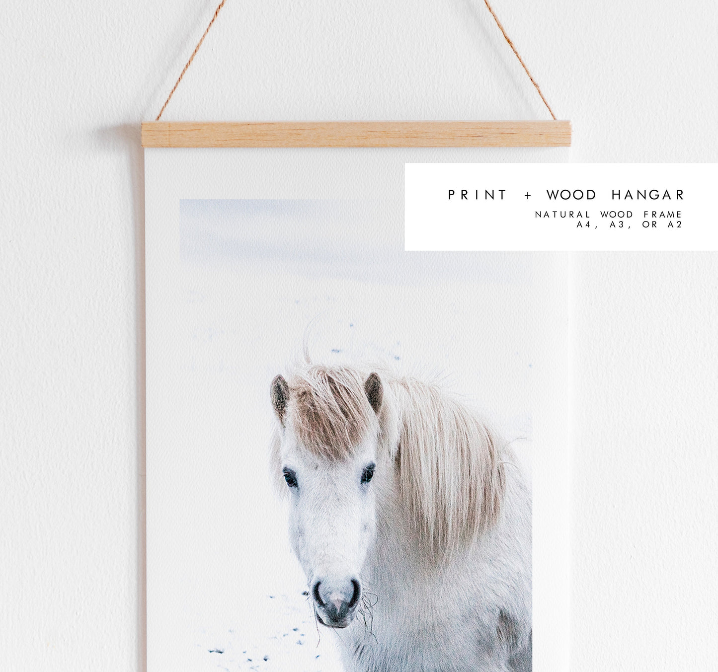 Icelandic Horse Print - Iceland Photography Print - Iceland Wall Art - Iceland Poster - Icelandic Horse - Iceland Horses - Horse Print