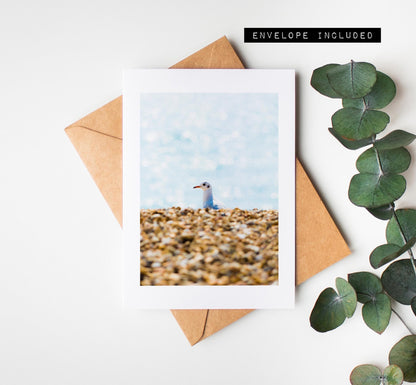 Southsea Seagull Greeting Card - Portsmouth and Southsea Photography Greeting Cards - Envelope Included - Birthday - Wedding - Anniversary