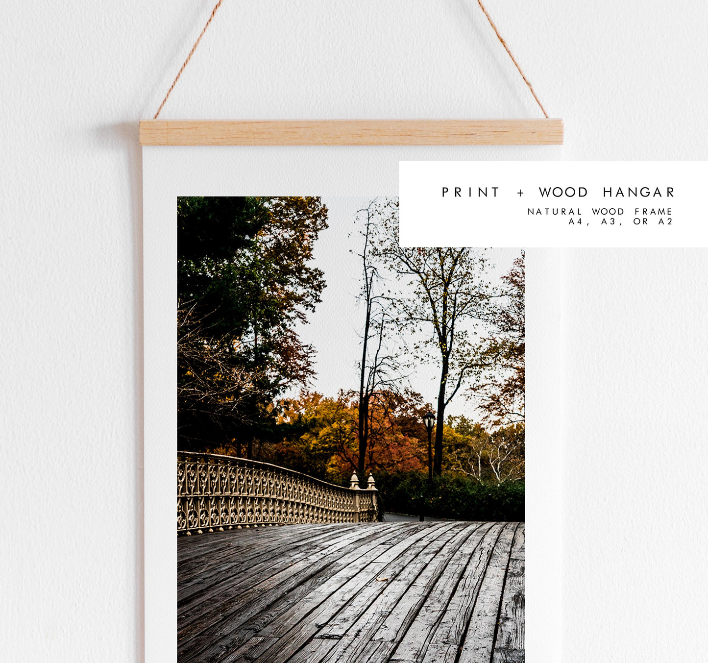 Central Park Print - New York City Photography Print - Central Park Bridge - Central Park Autumn - Fall - New York Poster - Trees - Wall Art