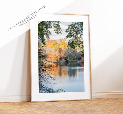 Central Park Print - New York City Photography Print - Central Park Bridge - Central Park Autumn - Fall - New York Poster - Trees - Wall Art