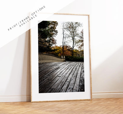 Central Park Print - New York City Photography Print - Central Park Bridge - Central Park Autumn - Fall - New York Poster - Trees - Wall Art