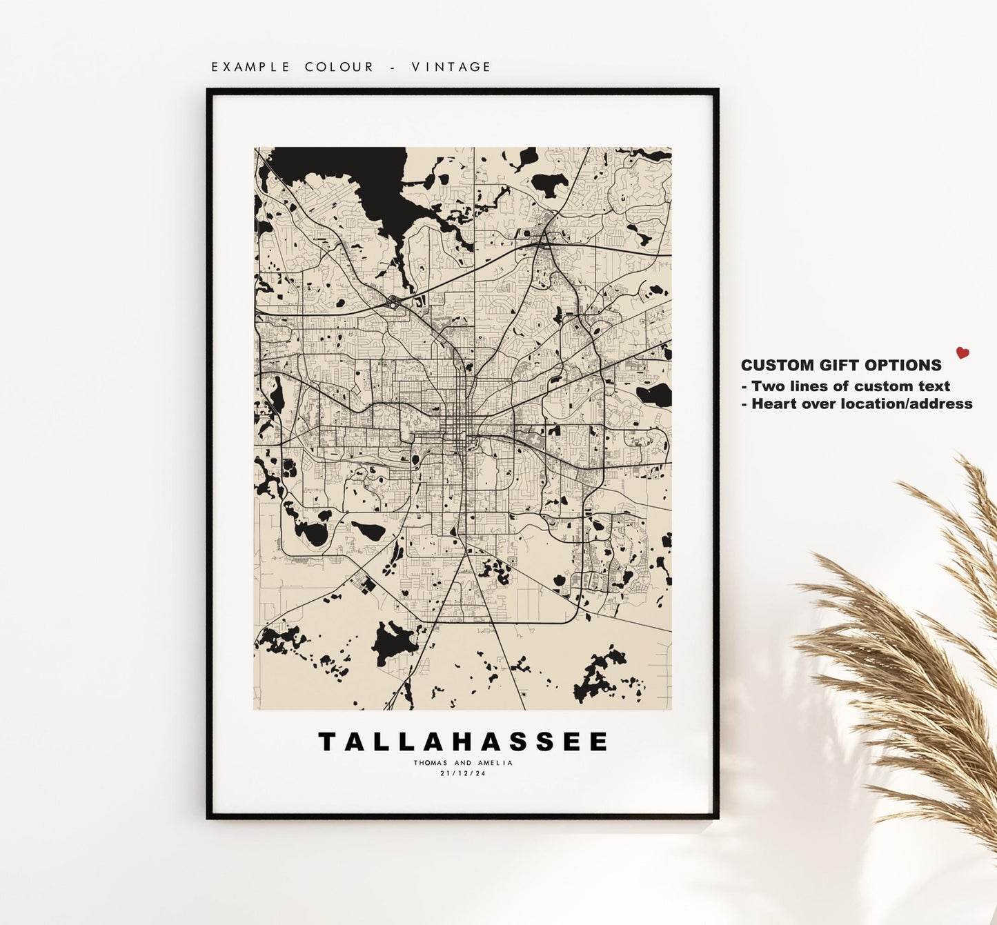 Tallahassee Map Print - City Map Poster - Map Art - USA City Maps - Tallahassee Print - Poster - Minimalist City Map - Florida